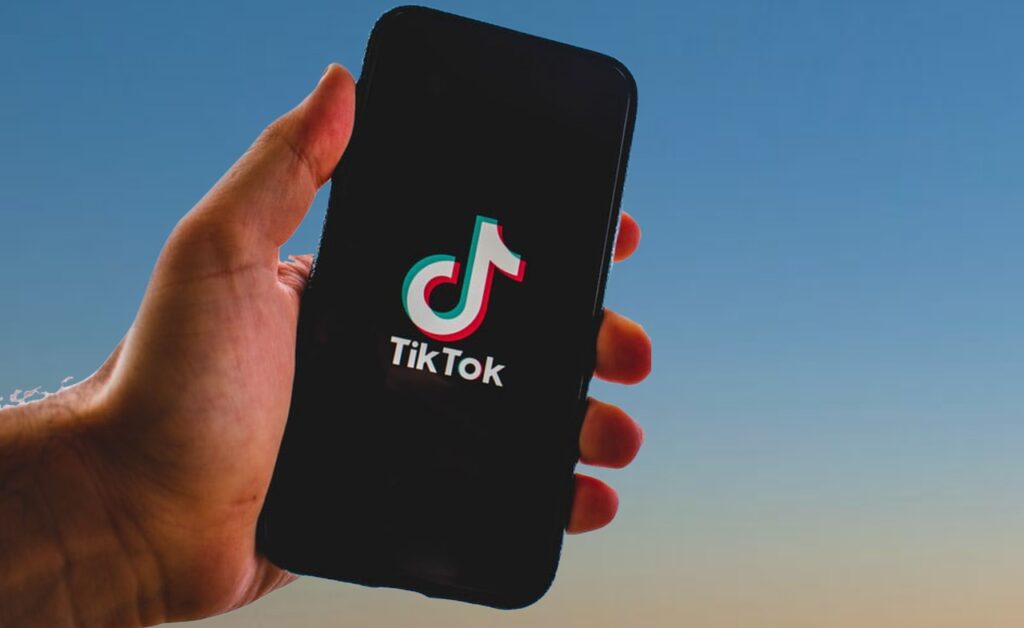 Leverage TikTok in-feed ads for overseas brands in China-p2