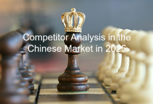 Read more about the article Competitor Analysis in the Chinese Market in 2025